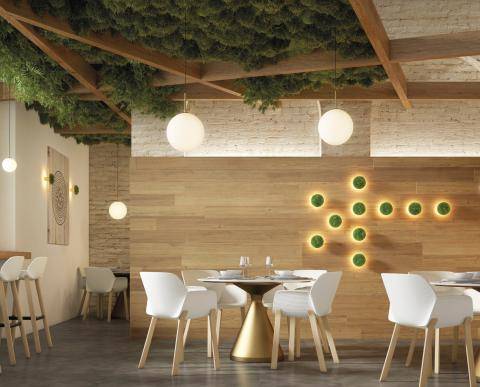 Applique murale ronde végétale pour éclairer des salons ou des espaces de circulations dans un hôtel , restaurant 